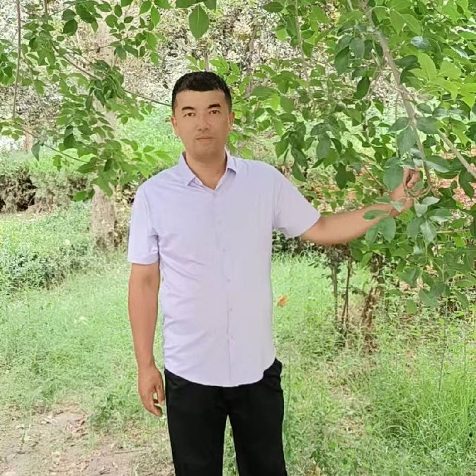苏莱曼(Sulayman)سۇلايمان
